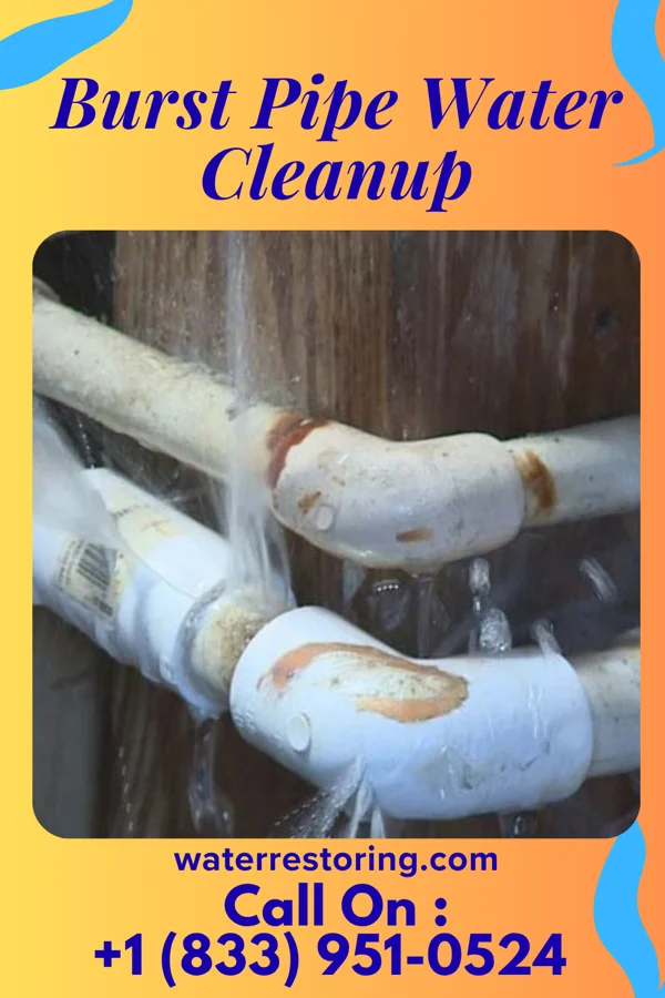 Burst Pipe Water Cleanup in Yarrow Point, WA