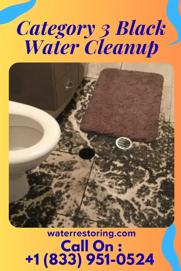 Category 3 Black Water Cleanup in Yarrow Point, WA