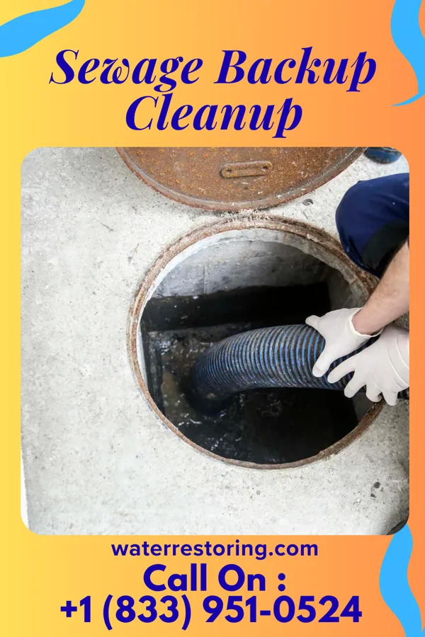 Sewage Backup Cleanup in Yarrow Point, WA