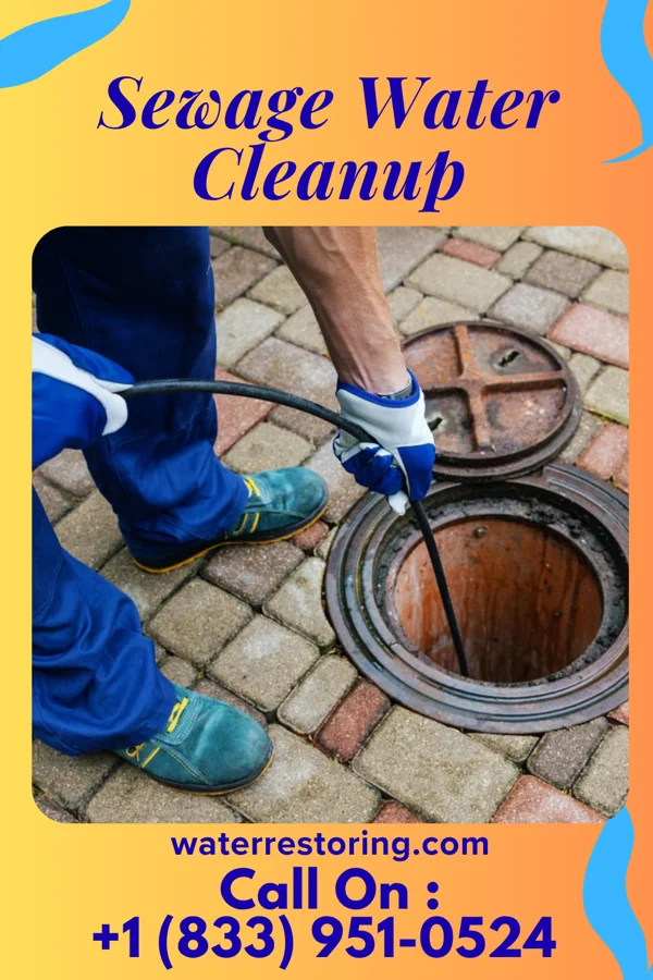 Sewage Water Cleanup in Yarrow Point, WA